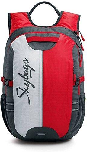 Skybags Strider 26 Ltrs Red Laptop Backpack - NEIGHBOUR JOY