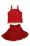 Jaipur Kala Kendra Baby Girls Casual Skirt Top Party Dress Lehanga Choli Summer Kids Gift Skirts Tops Blouse Red 6-12 Months - NEIGHBOUR JOY