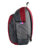 Dussledorf Polyester School Backpack with Laptop Compartment and 2 Bottle Pocket 17 Liters -Grey, Red - NEIGHBOUR JOY