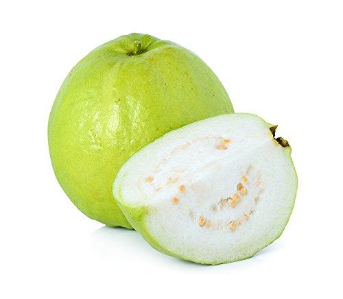 Fresh Produce Guava, 500g - NEIGHBOUR JOY