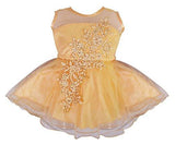 Wish Karo Baby Girls Party Wear Frock Dress DN Fe1137cku (0-3 Months)