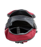 Dussledorf Polyester School Backpack with Laptop Compartment and 2 Bottle Pocket 17 Liters -Grey, Red - NEIGHBOUR JOY