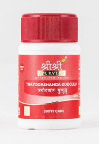 Sri Sri Ayurveda Trayodashanga (30Tab)