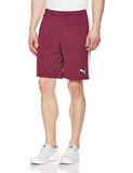 Puma Men's Synthetic Shorts