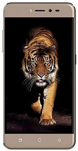 Coolpad Note 5 Lite (Royal Gold, 3GB RAM + 16 GB) - NEIGHBOUR JOY