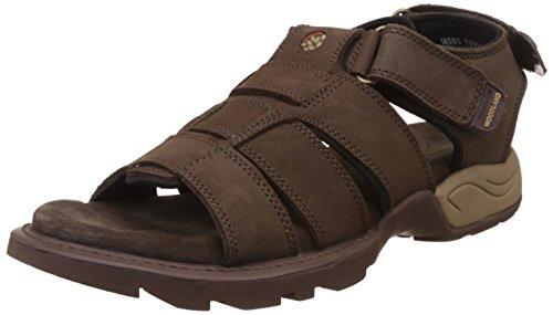 Woodland Men's Brown Leather Sandals and Floaters - 8 UK/India (42 EU)