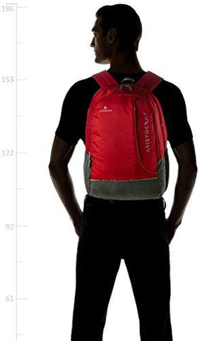 aristocrat unisex red laptop backpack Aristocrat Zing Fabric 25 Ltrs Red Laptop Backpack (LPBPZIN3RED) – neighbourjoy