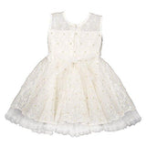 Wish Karo Party wear Baby Girls Frock Dress DNbxa06 -3-4 Yrs