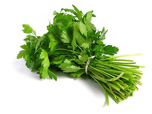 Fresh Produce Coriander - Leaf, Bunch - NEIGHBOUR JOY