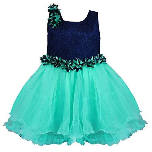 Wish Karo baby girls Party Wear Frock Dress DN fr1006sg