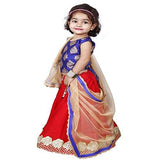 Najara Fashion Red Silk & Blue Printed Silk Lehnga Choli Set - NEIGHBOUR JOY