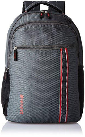 Safari 25 ltrs Laptop Backpack (Connect-Grey-LB) - NEIGHBOUR JOY