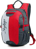 Skybags Strider 26 Ltrs Red Laptop Backpack - NEIGHBOUR JOY