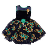 Wish Karo Baby Girls Party Wear Frock Dress DN fe2177g-18-24 Mths